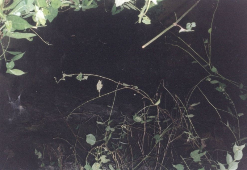 Cuevas de San Isidro
